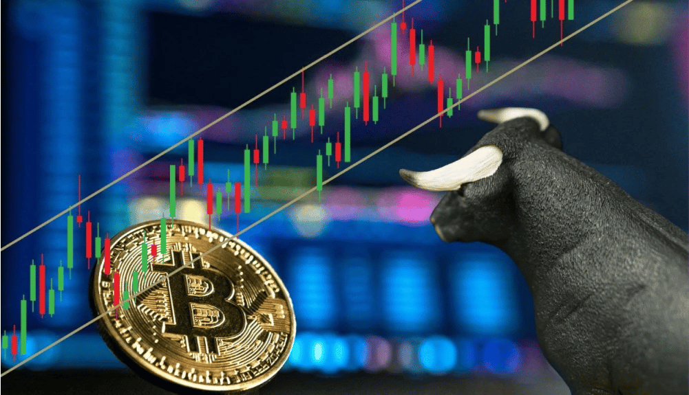 Bitcoin surges past $41,000 as broader crypto market rallies.