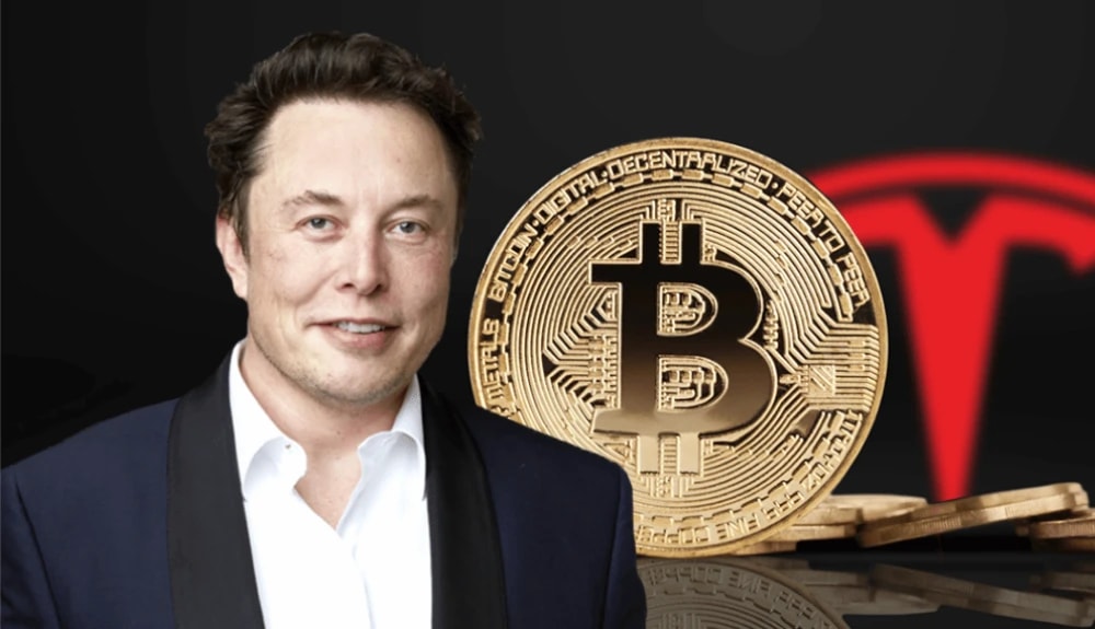 Elon Musk Analyzes Bitcoin's Advantages Over Fiat Currency