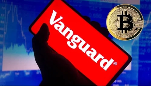 Vanguard logo in a phone