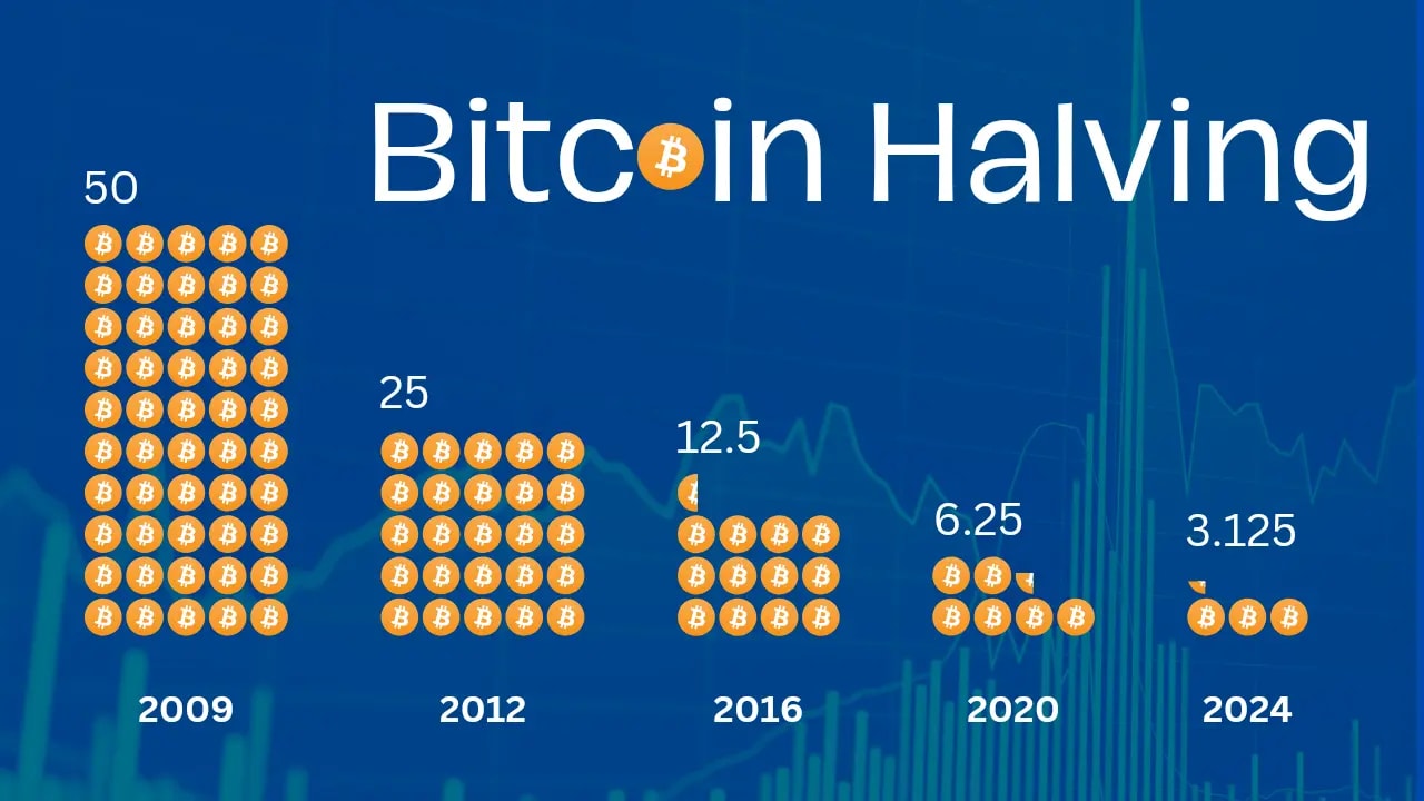 An image showing the history of bitcoin halving year wise