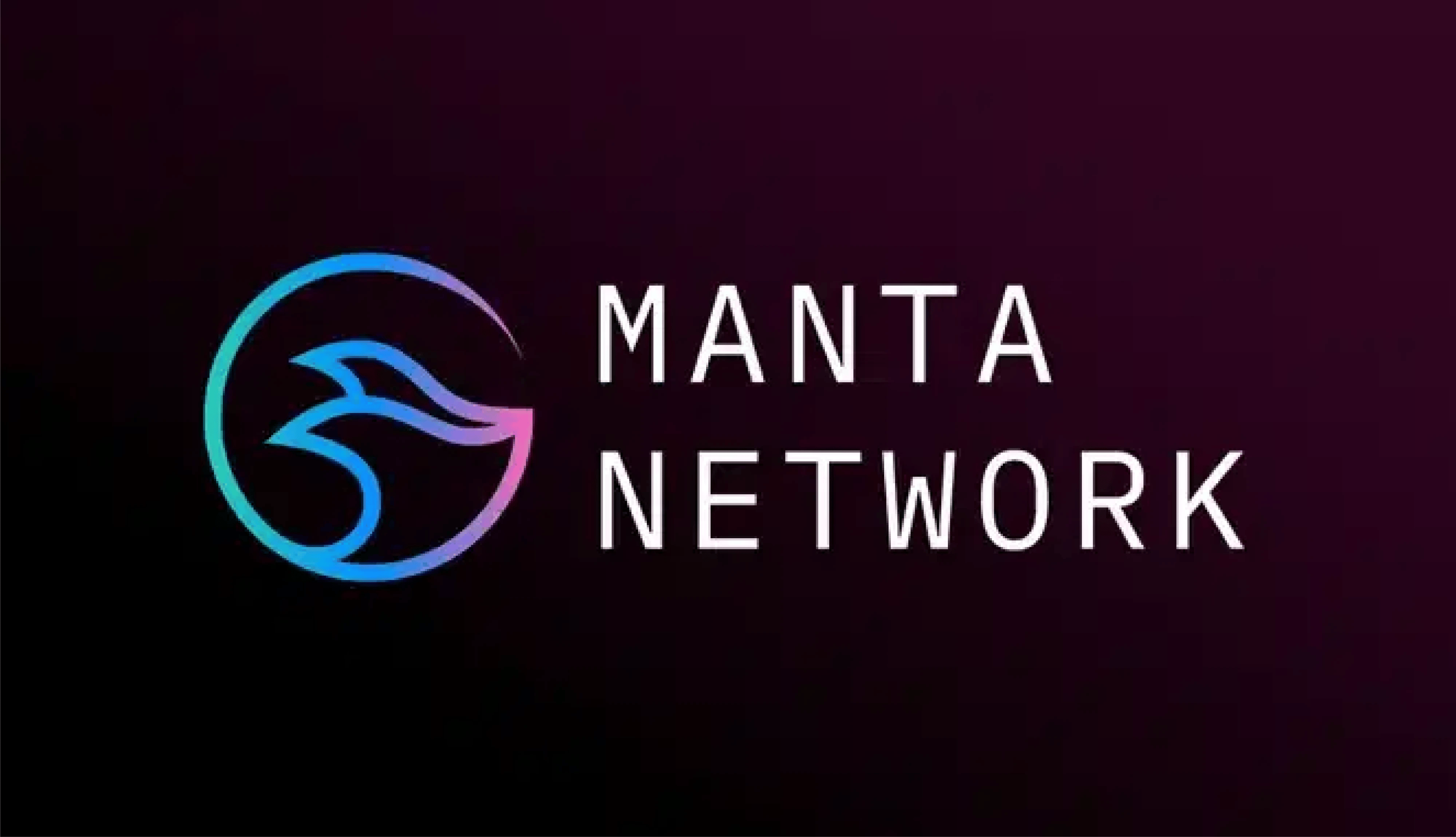 Manta Network's Launch Hurdle: DDoS Attack Amidst Token Issuance