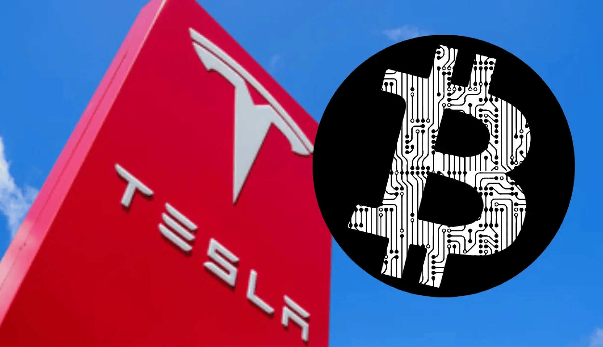 Tesla Lost $300M in Bitcoin Sales