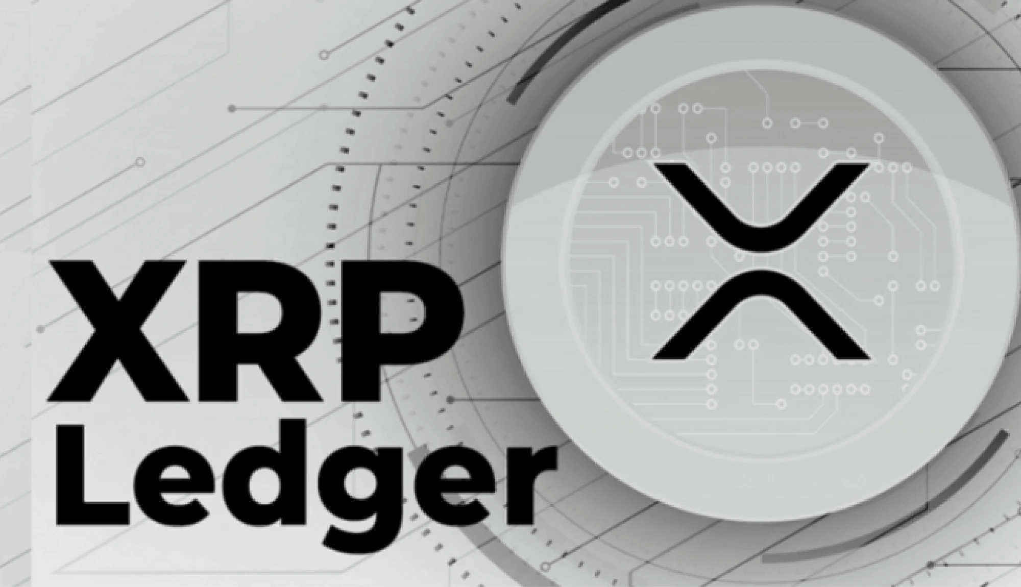 XRP Ledger Thrives Amid Governance Debates
