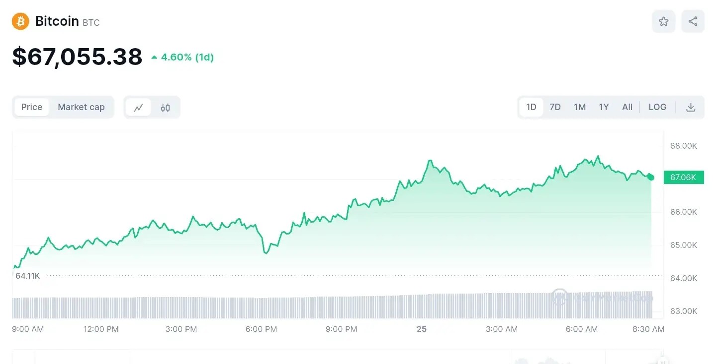Bitcoin price chart from coingecko website