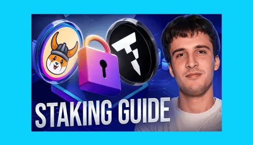 The Complete Floki & TokenFi Staking Guide