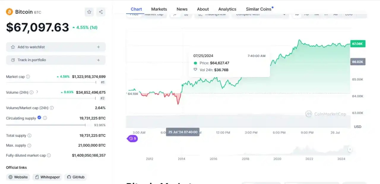 Screenshot from coingecko website showing Bitcoins chart