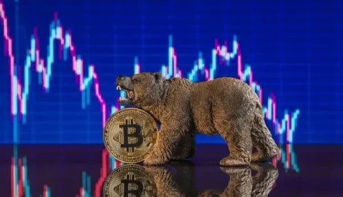 Bitcoin with a Bear