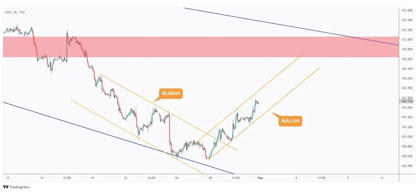 DXY 1h chart overall bullish trading within a rising channel.