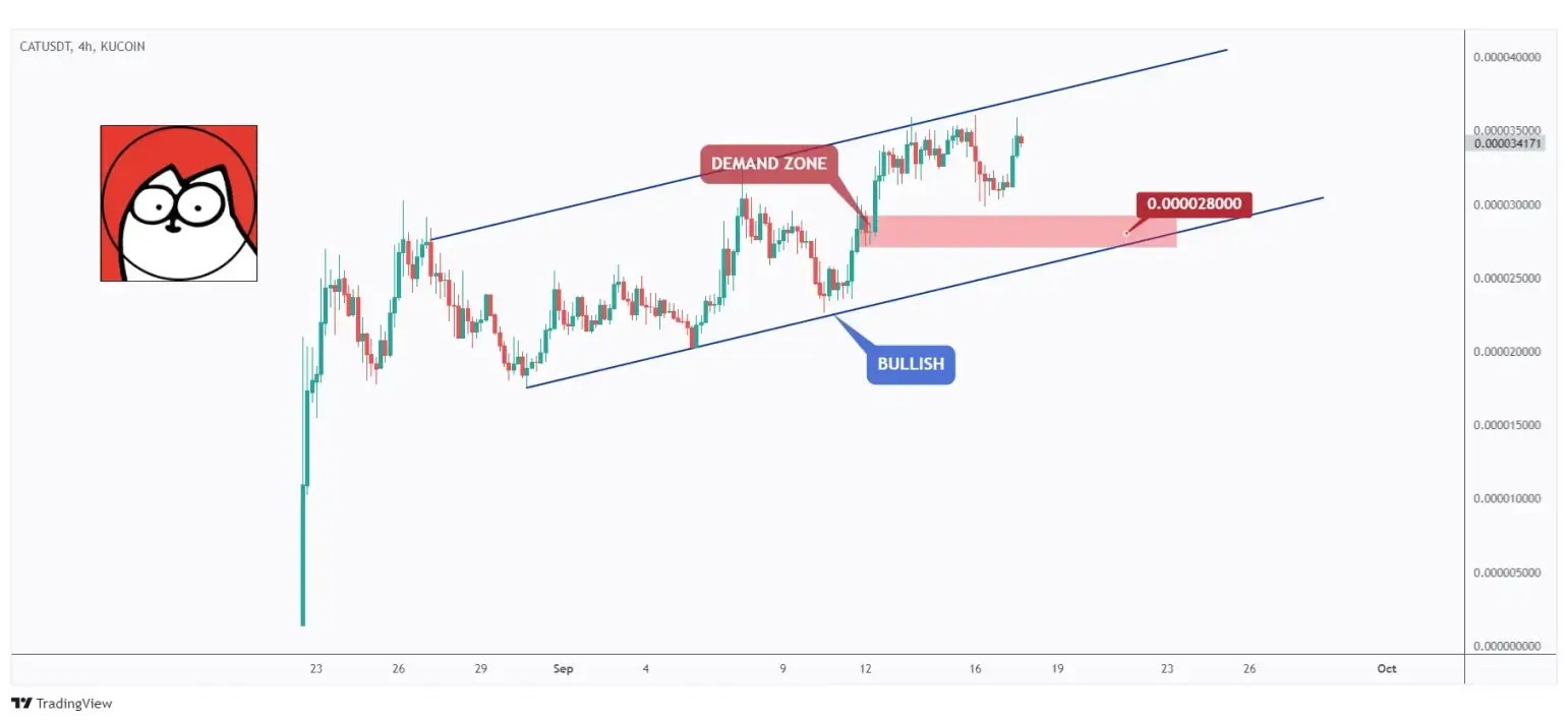 CAT 4h chart overall bullish trading within a rising channel and currently in a correction phase expecting a movement towards $0.000028.