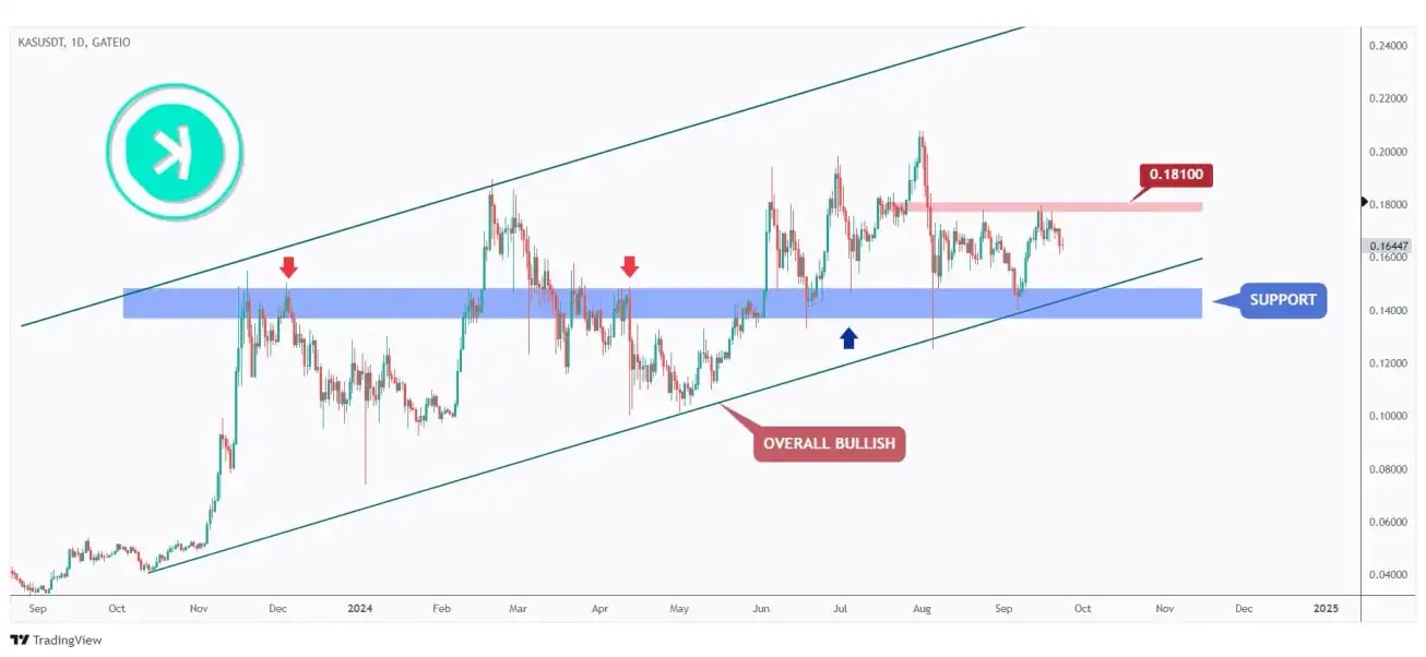 KAS daily chart overall bullish trading within a rising channel and currently hovering within the $0.15 support and $0.181 major high.