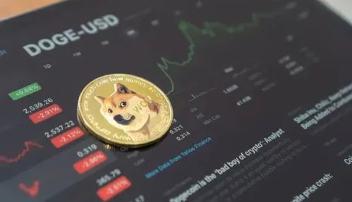 Dogecoin Activity Surge