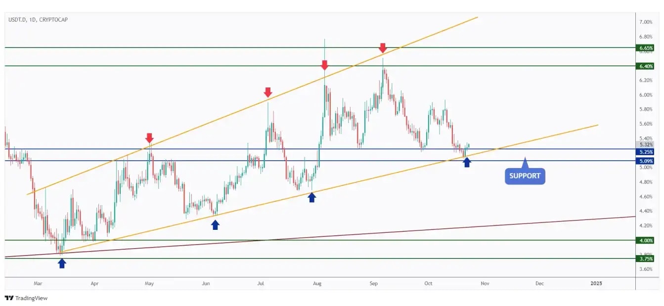 USDT.D daily chart overall bullish and currently rejecting the 5% support zone.