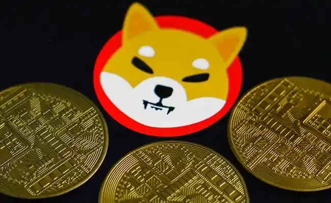 Memecoin Boom Raises Concerns Over Crypto Innovation