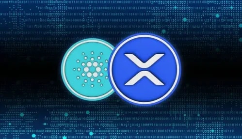 XRP and Cardano Eyes for $1 as Dogecoin and SHIB Rally