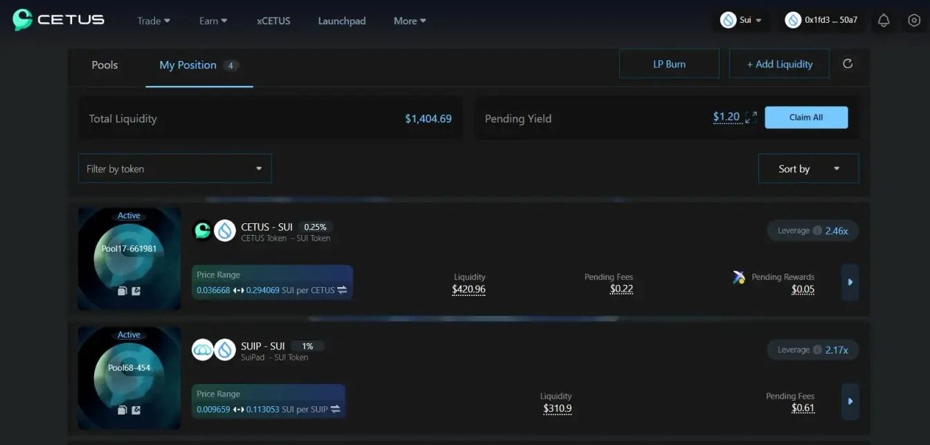 A sketch from Cetus website showing different options of Pools.