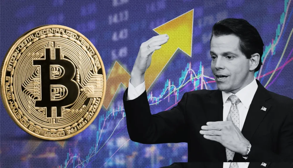 Bitcoin & Scaramucci Image