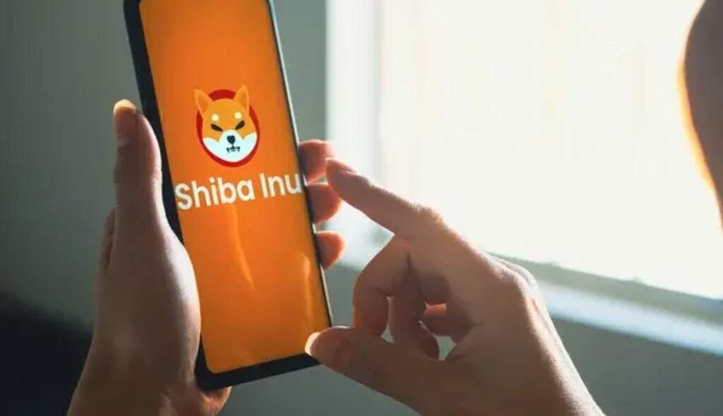 Shiba Slums in September