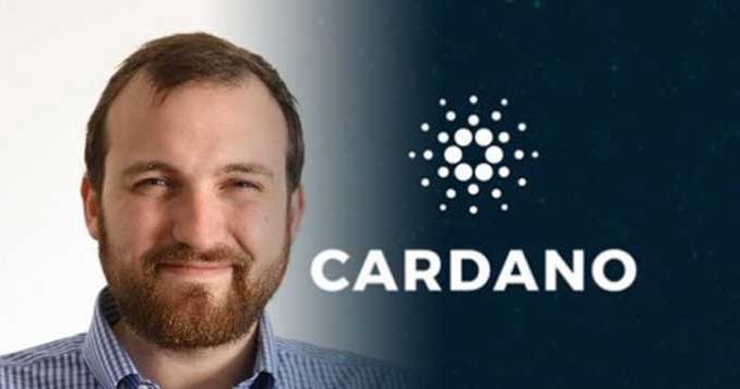 Cardano CEO