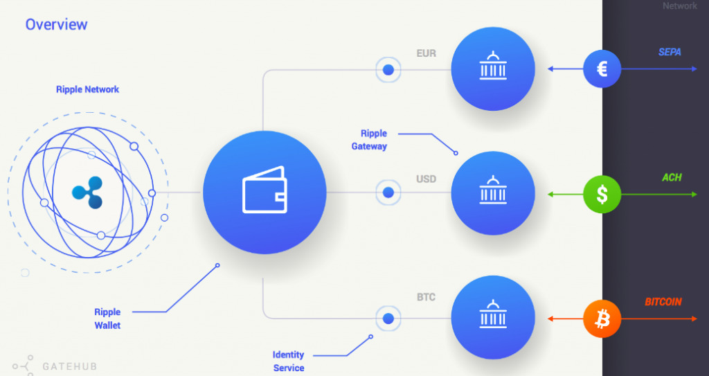 A sketch showing how XRP works from Ripple Wallet to Gateway and Service.