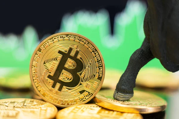 Bitcoin Surges Past $103K.