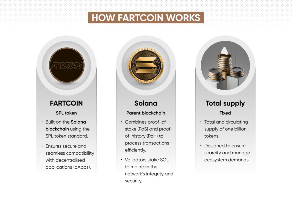 A sketch showing how Fartcoin works like where it is built, its total supply and so on...