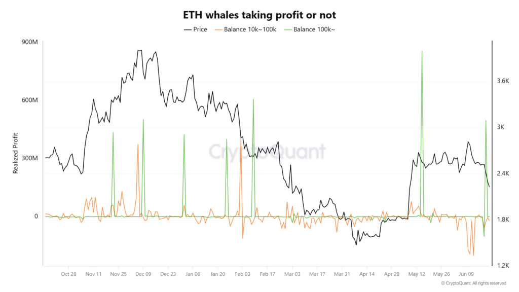 Whales' profit trends over time.