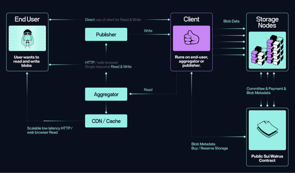 A sketch showing how Walrus works from Storage Nodes to publisher and aggregator. 